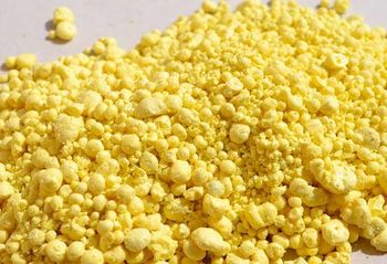 Candlenut (Kemiri) - PT Cipta Tunggal Agronusa - Indonesia